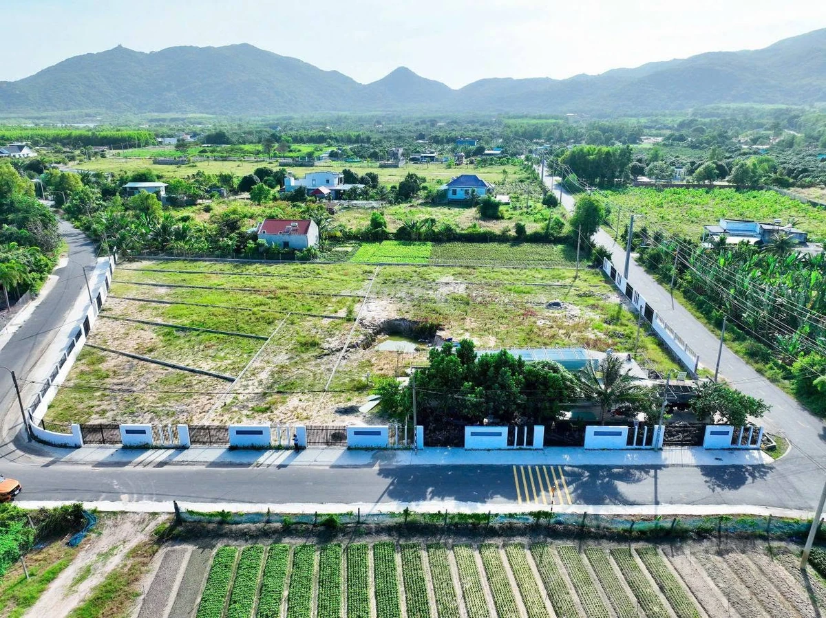 Bán đất vườn 342m2 tại Phước Hải, gần biển 4km - Ảnh thu nhỏ 4
