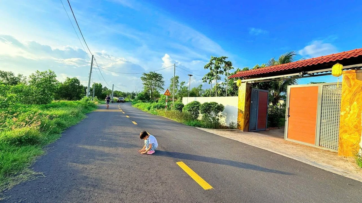 Bán đất biển Phước Hải 5000m2 giá 8 tỷ 500 - Ảnh thu nhỏ 4