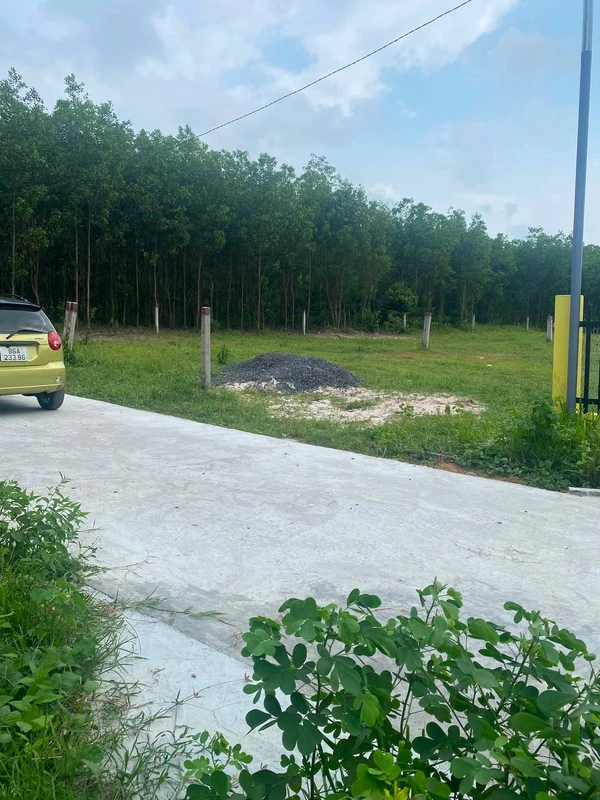 Bán lô đất 5x56 (280m²) Tân An Lagi, 700 triệu