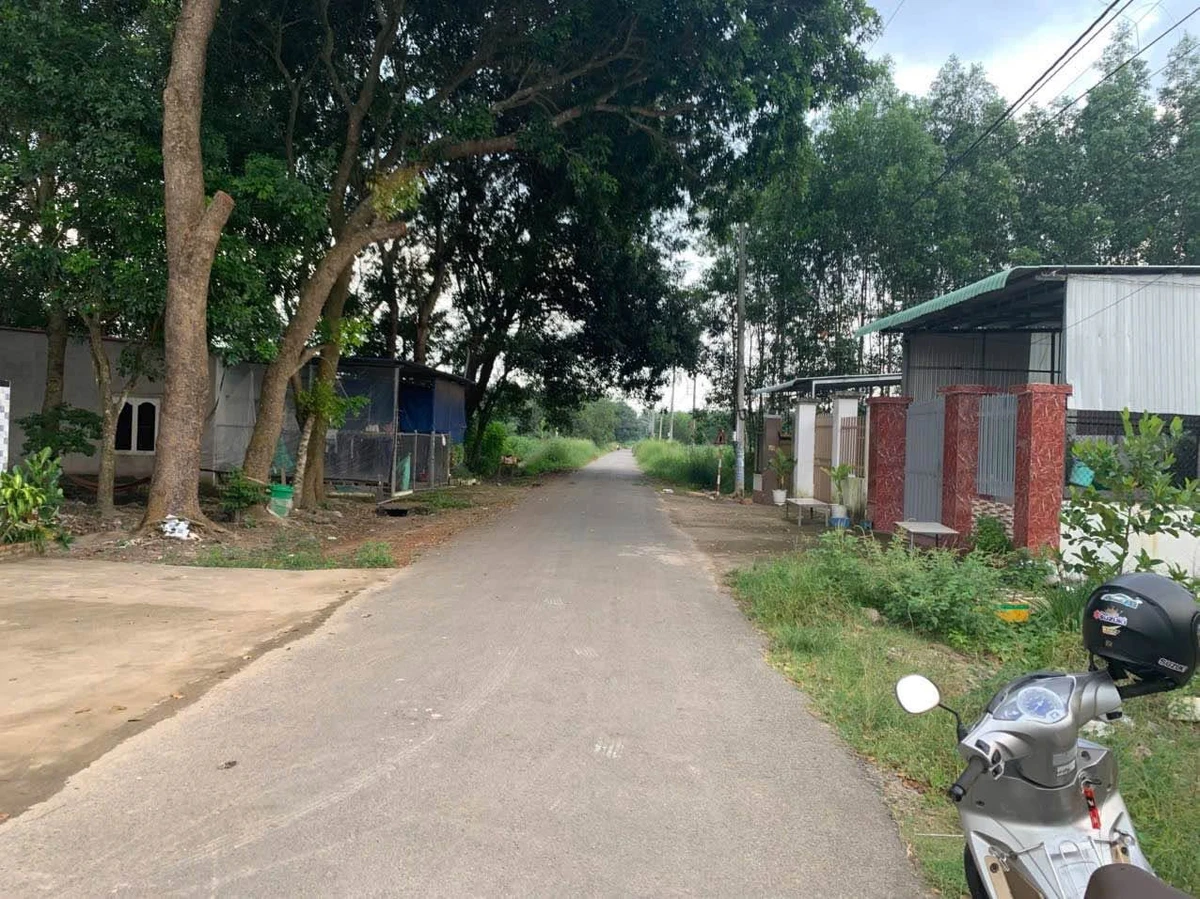 Bán đất Tân Phú 50m² giá 1.85 tỷ - Ảnh thu nhỏ 3