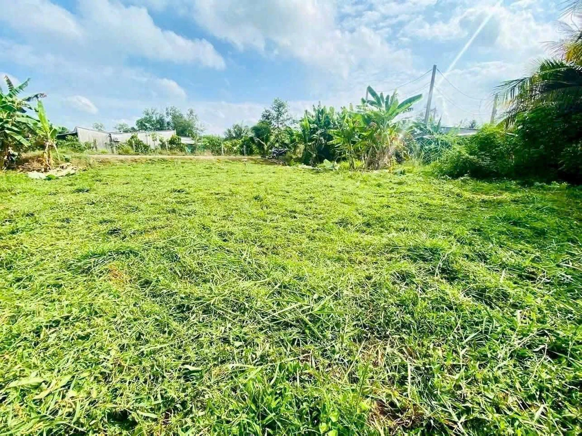 Bán đất Vĩnh Long 75m² mặt tiền 199 triệu - Ảnh thu nhỏ 2