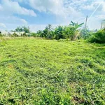 Bán đất Vĩnh Long 75m² mặt tiền 199 triệu - Ảnh thu nhỏ 2