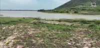 Bán đất xã Sơn Mỹ, Lâm Đồng mới - Ảnh thu nhỏ 5