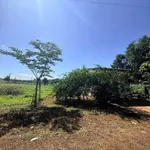 Bán đất mặt tiền Nguyễn Cư Trinh Pleiku 150m² 1,25 tỷ - Ảnh thu nhỏ 2