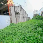Bán nền đất Phường 4, Cà Mau 122.5m² - 2 tỷ 200 - Ảnh thu nhỏ 3
