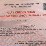 Bán đất mặt tiền đường Bình Nhâm 83, 148m², đối diện trường THCS Nguyễn Trường Tộ, Bình Dương - Ảnh thu nhỏ 3
