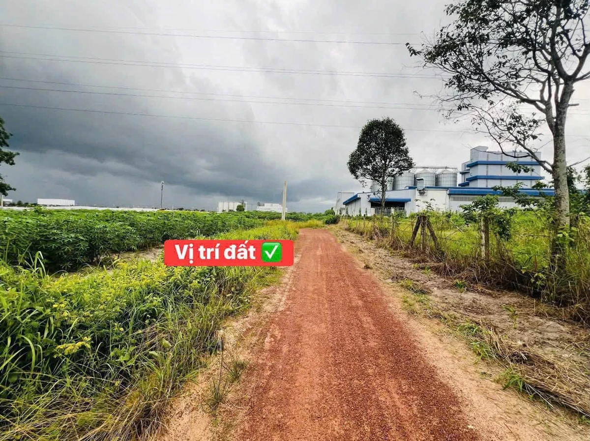 Bán đất 100m2 đối diện KCN Becamex 425 triệu Bình Dương - Ảnh thu nhỏ 3