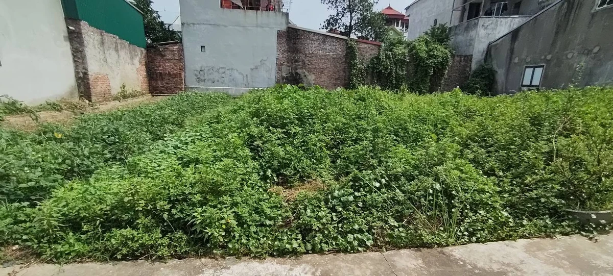 Bán đất 70m² trên 1 tỷ tại Sóc Sơn - Ảnh thu nhỏ 3