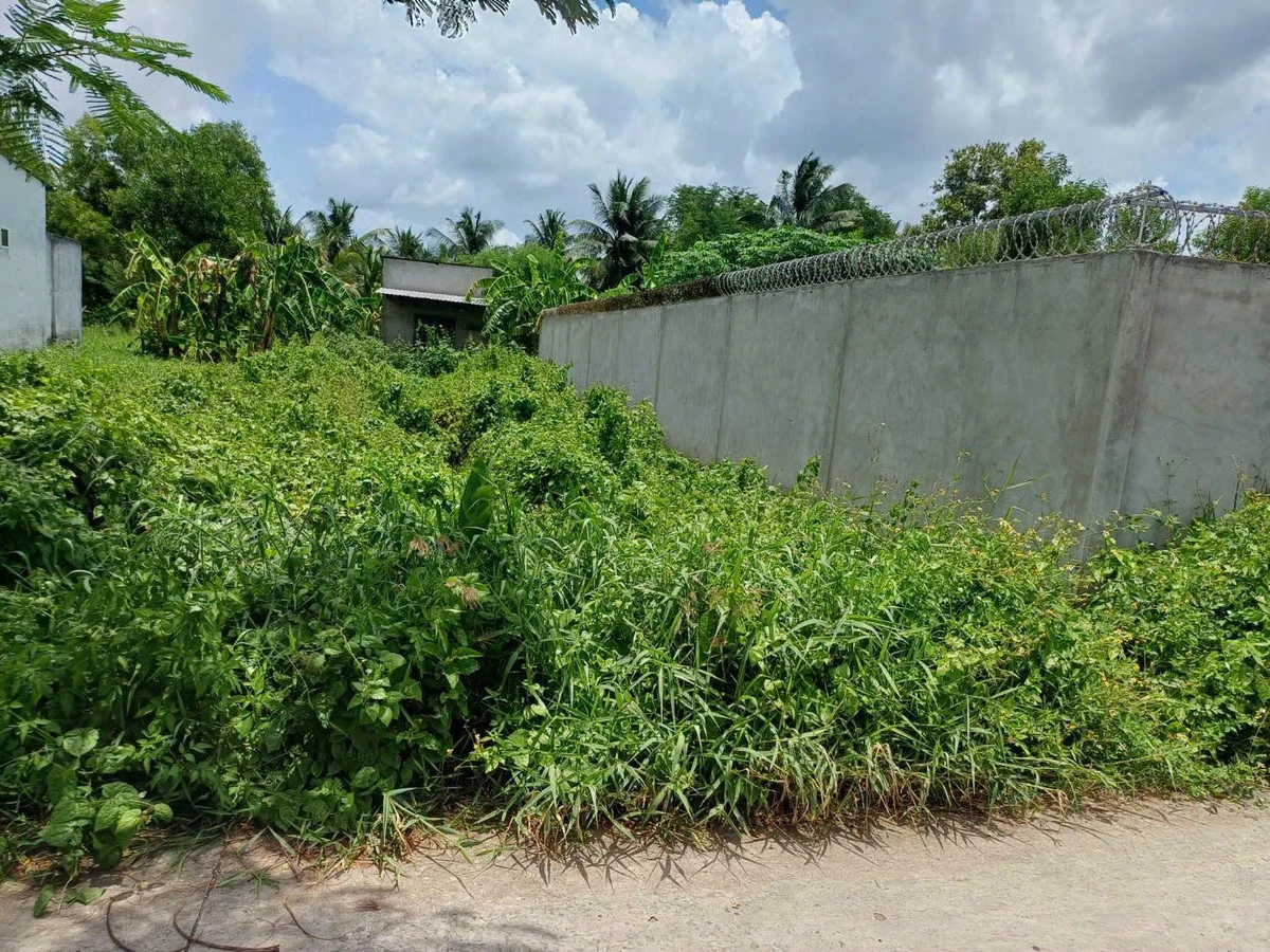 Bán đất Kênh Tập Đoàn 2, Phú Tân, Bến Tre, 177m² - Ảnh thu nhỏ 2