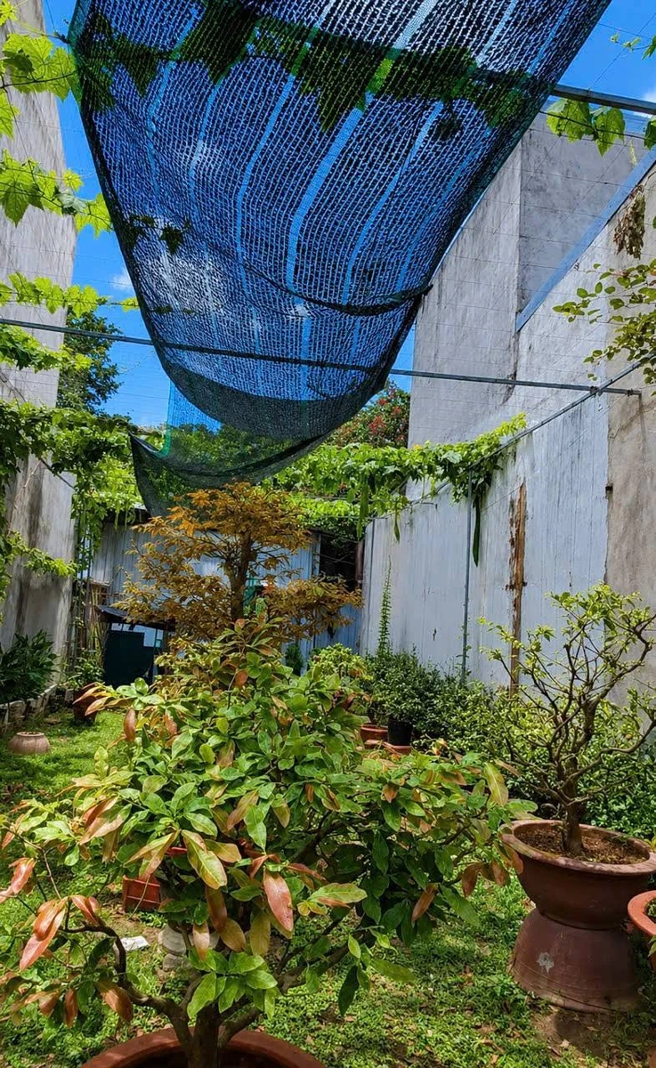 Bán đất 2 mặt tiền 146m2 khu cư xá giáo viên gần trường Trấn Biên, Phường Tam Hiệp - Ảnh thu nhỏ 4