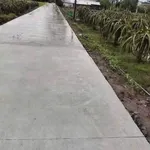 Bán 1.000m2 đất lúa chuyển thổ cư giá 550 triệu tại Thuận Mỹ, Châu Thành, Long An - Ảnh thu nhỏ 3