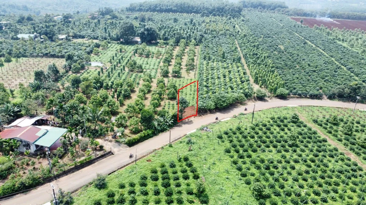 Bán đất mặt đường 300m² Phủ Hồng gần trường học - Ảnh 1