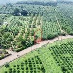 Bán đất mặt đường 300m² Phủ Hồng gần trường học - Ảnh thu nhỏ 1