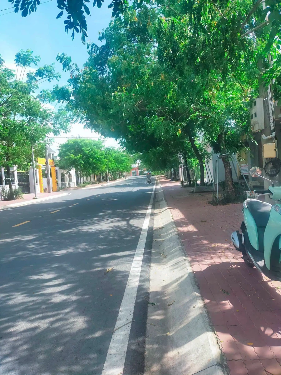 Bán đất mặt tiền Bùi Ngọc Thu Bình Dương 160m² 10 tỷ - Ảnh thu nhỏ 4