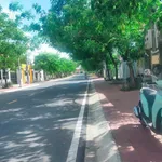 Bán đất mặt tiền Bùi Ngọc Thu Bình Dương 160m² 10 tỷ - Ảnh thu nhỏ 4
