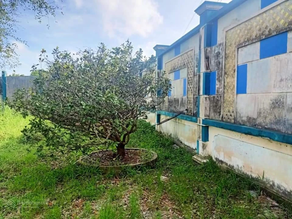 Bán gấp mặt đường Quản Lộ Phụng Hiệp, Tân Thành, Cà Mau, 8898m, ngang 69m, chỉ 29 tỷ - Ảnh 1