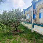 Bán gấp mặt đường Quản Lộ Phụng Hiệp, Tân Thành, Cà Mau, 8898m, ngang 69m, chỉ 29 tỷ - Ảnh thu nhỏ 1