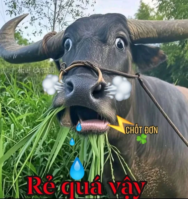 Bán nhà Mỹ Lộc Cần Giuộc Long An 3 phòng ngủ 69,7m² 1,8 tỷ khogiatot