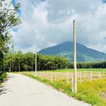 Bán nền đất 145m² full thổ cư xã Phan-Dương Minh Châu Tây Ninh - Ảnh thu nhỏ 3