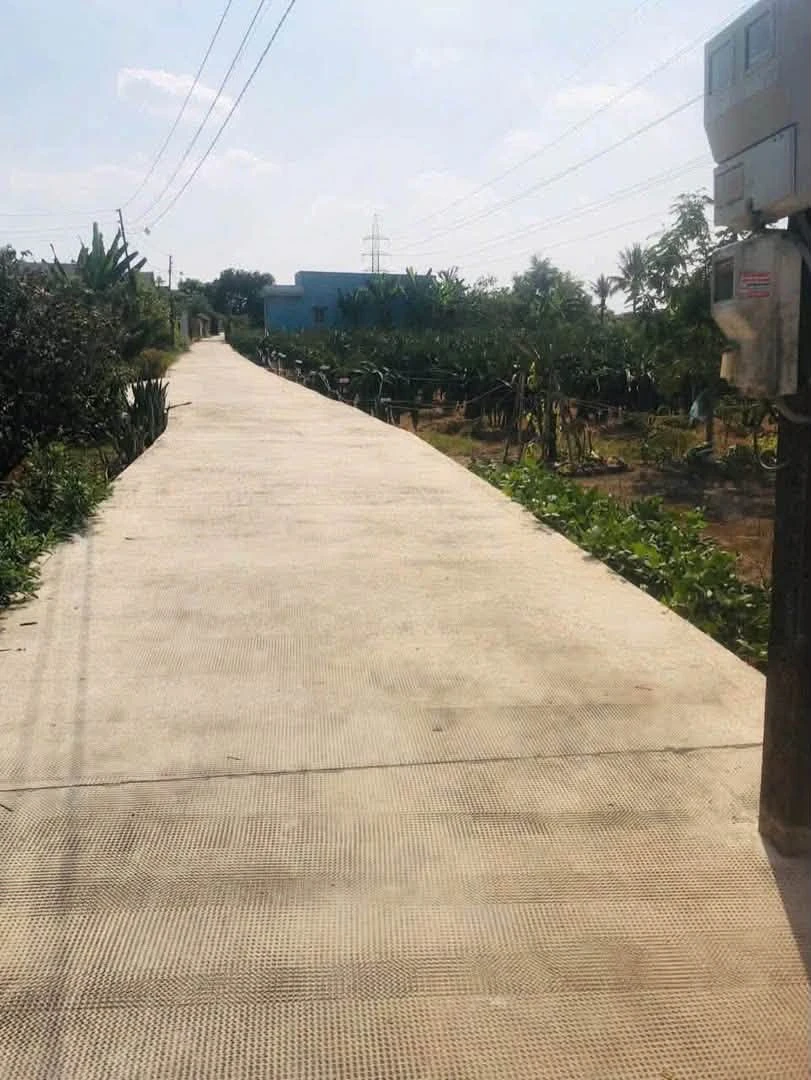Bán đất 5x49m nền ô tô Bình Tâm 1 tỷ 250 triệu - Ảnh thu nhỏ 2