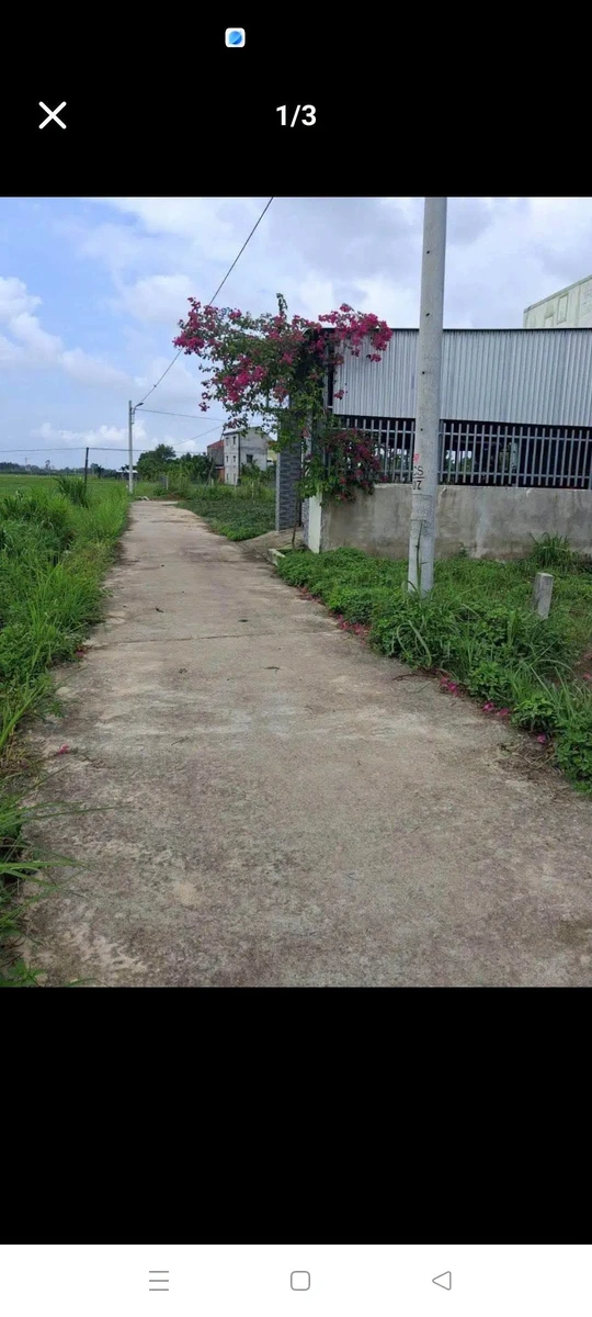 Bán đất 183m2 (164m2 thổ cư) giá 430 triệu phường Trương Quang Trọng, Quảng Ngãi - Ảnh 1