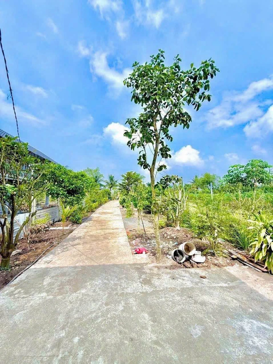 Bán nhà vườn 775m² 3 phòng ngủ Bến Lức 2,35 tỷ - Ảnh thu nhỏ 4