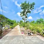 Bán nhà vườn 775m² 3 phòng ngủ Bến Lức 2,35 tỷ - Ảnh thu nhỏ 4