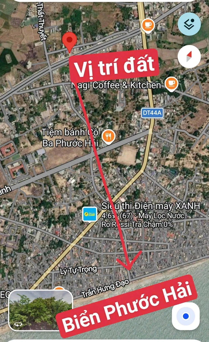 Bán đất mặt tiền 442m2 Ven Biển Vũng Tàu Bình Châu - Ảnh 1