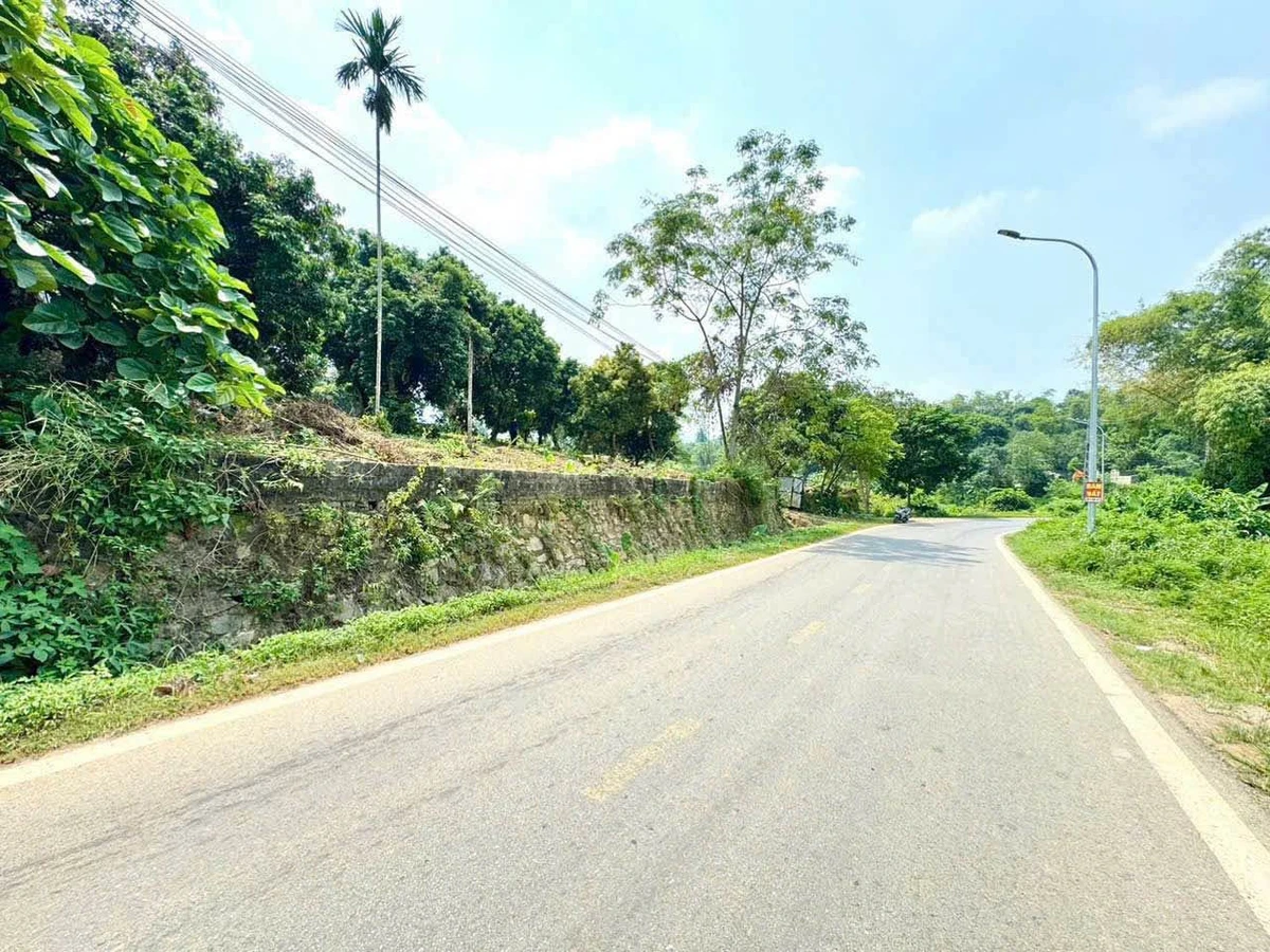 Bán lô góc 2 mặt tiền 2229m² Nhuân Trạch Hòa Bình 20 tỷ - Ảnh thu nhỏ 4