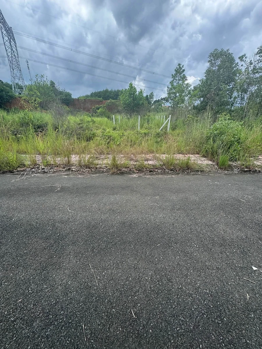 Bán nền đất Đồng Nai, 150m², 470 triệu - Ảnh thu nhỏ 2