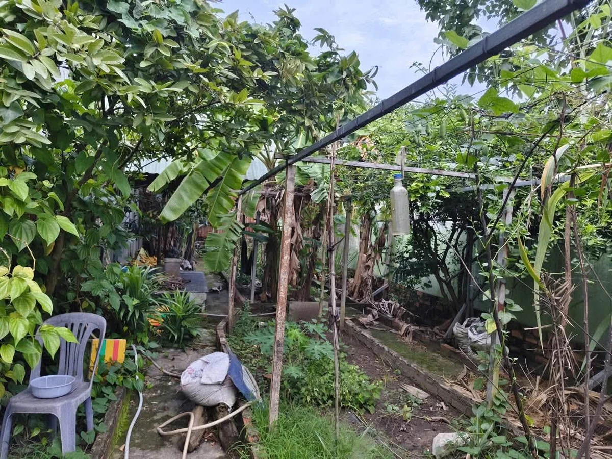 Bán đất 189,3m2 (thổ cư 90m2) kèm nhà kho và vườn, gần chợ Bưng Cầu, Hiệp An - Ảnh thu nhỏ 3
