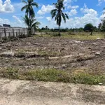 Bán đất xây nhà vườn 860m² Tân Trụ, Long An 1,5 tỷ - Ảnh thu nhỏ 1