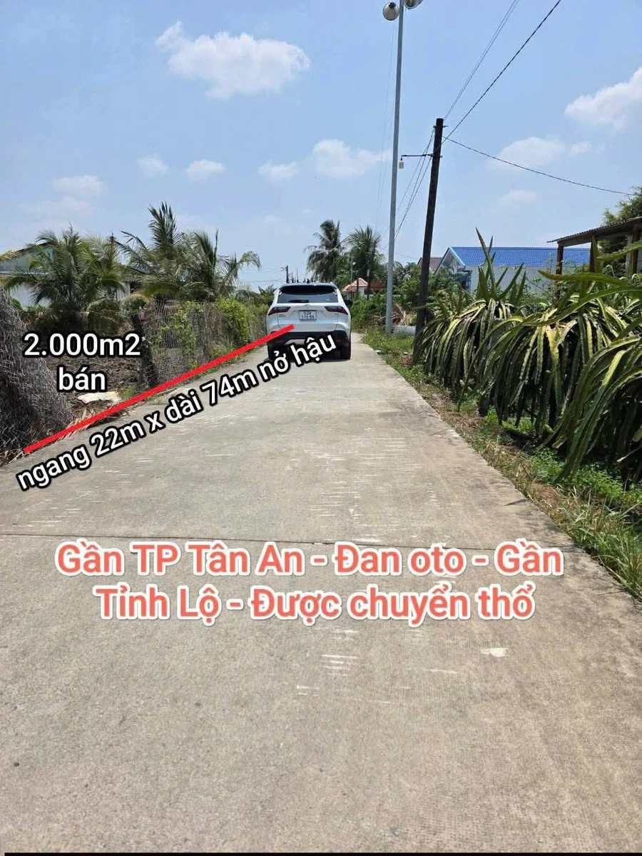Bán đất nông nghiệp 2000m² tại Xã Vĩnh Công, Châu Thành, Long An - Ảnh thu nhỏ 2