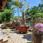Bán nhà vườn mặt tiền Hoàng Quốc Việt, Buôn Ma Thuột, 4.372m² - Ảnh thu nhỏ 3