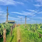 Bán 400m² đất quy hoạch thổ cư km 28 Hàm Thuận Nam - Ảnh thu nhỏ 3