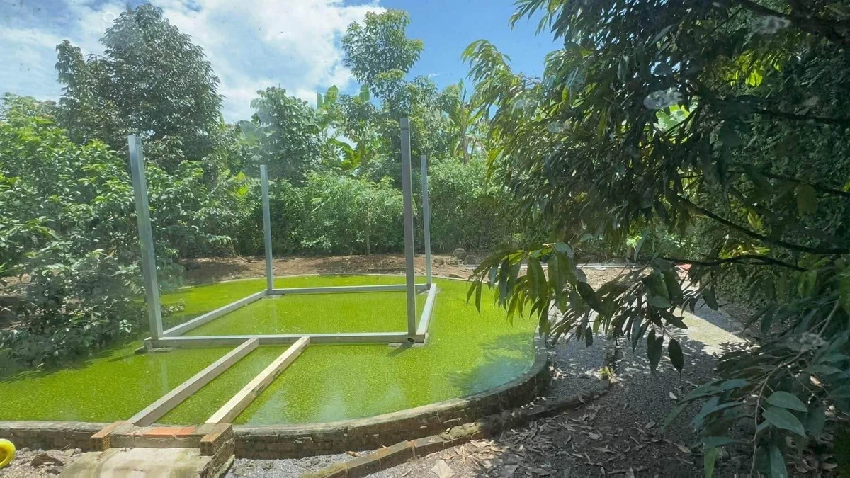 Bán nhà vườn 2 phòng ngủ 1008m2 Định Quán Đồng Nai - Ảnh thu nhỏ 2