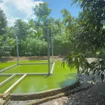 Bán nhà vườn 2 phòng ngủ 1008m2 Định Quán Đồng Nai - Ảnh thu nhỏ 2