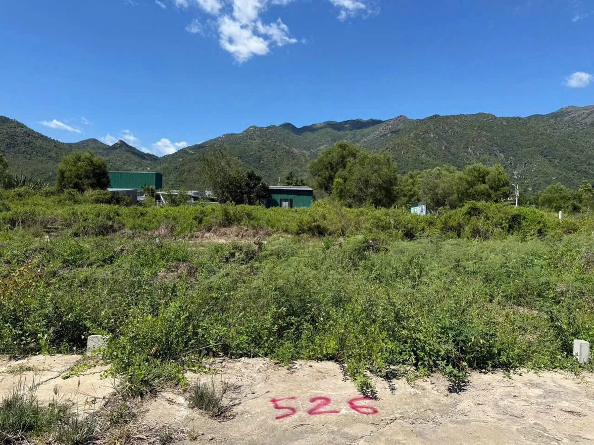 Bán đất Phước Hạ Nam Nha Trang 79,6m² 1,3 tỷ - Ảnh thu nhỏ 2