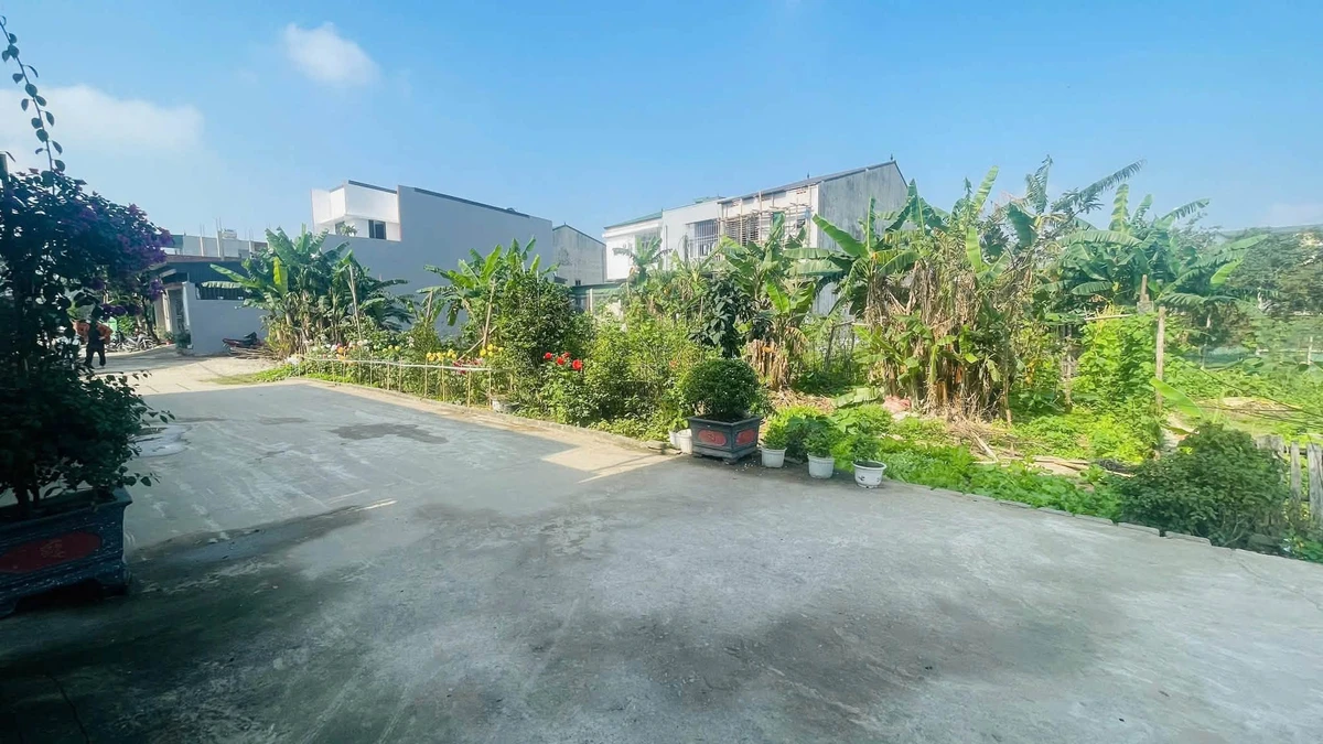 Bán nhà cấp 4 100m2 lối 2 Trần Đình San, Vinh Tân, Vinh, Nghệ An - Ảnh thu nhỏ 4