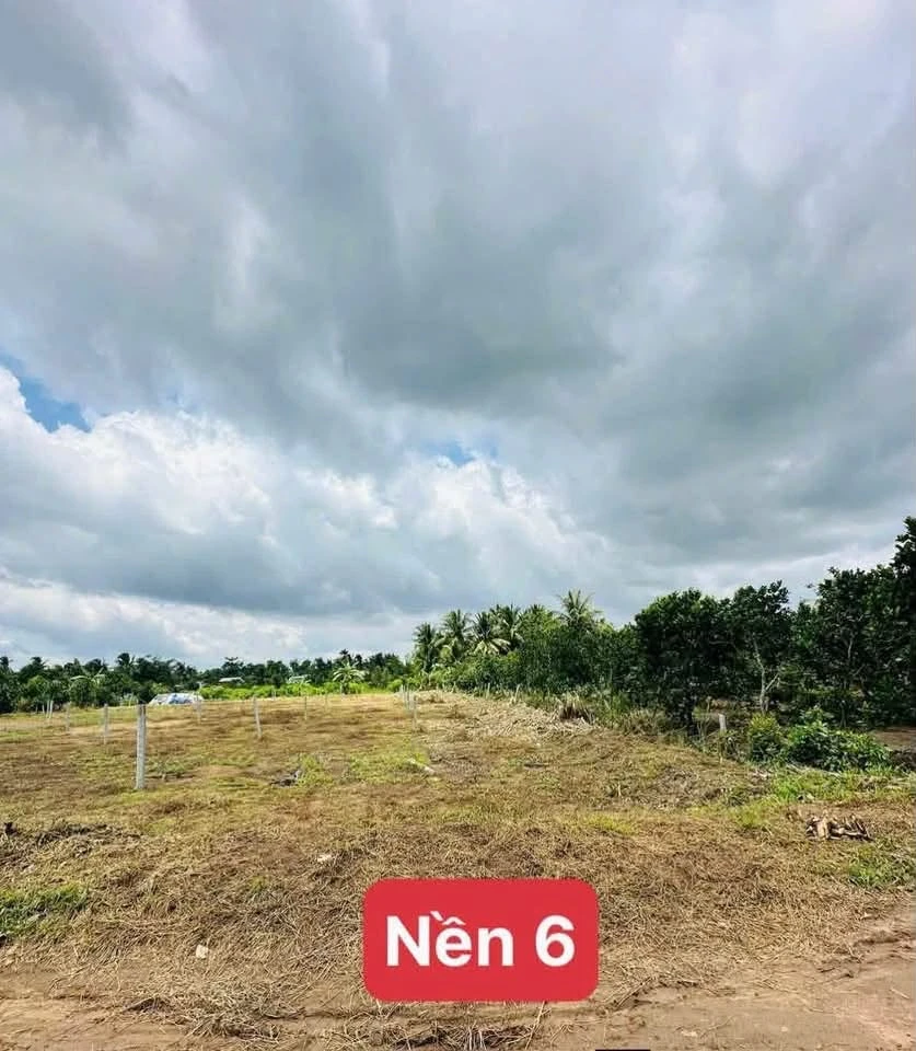 Bán đất mặt tiền đường nhựa 572,7m² (125m² thổ cư) giá 1,2 tỷ tại Đông Thành, Vĩnh Long - Ảnh thu nhỏ 3