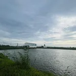 Bán 2 Vùng Nuôi tại Xã Nhơn Mỹ và Xã Long Giang, T. An Giang rộng đến hơn 40ha chỉ 108.1 tỷ đồng - Ảnh thu nhỏ 5