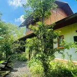 Bán khu homestay 2.320m² Buôn Ma Thuột 9 tỷ 9 - Ảnh thu nhỏ 4