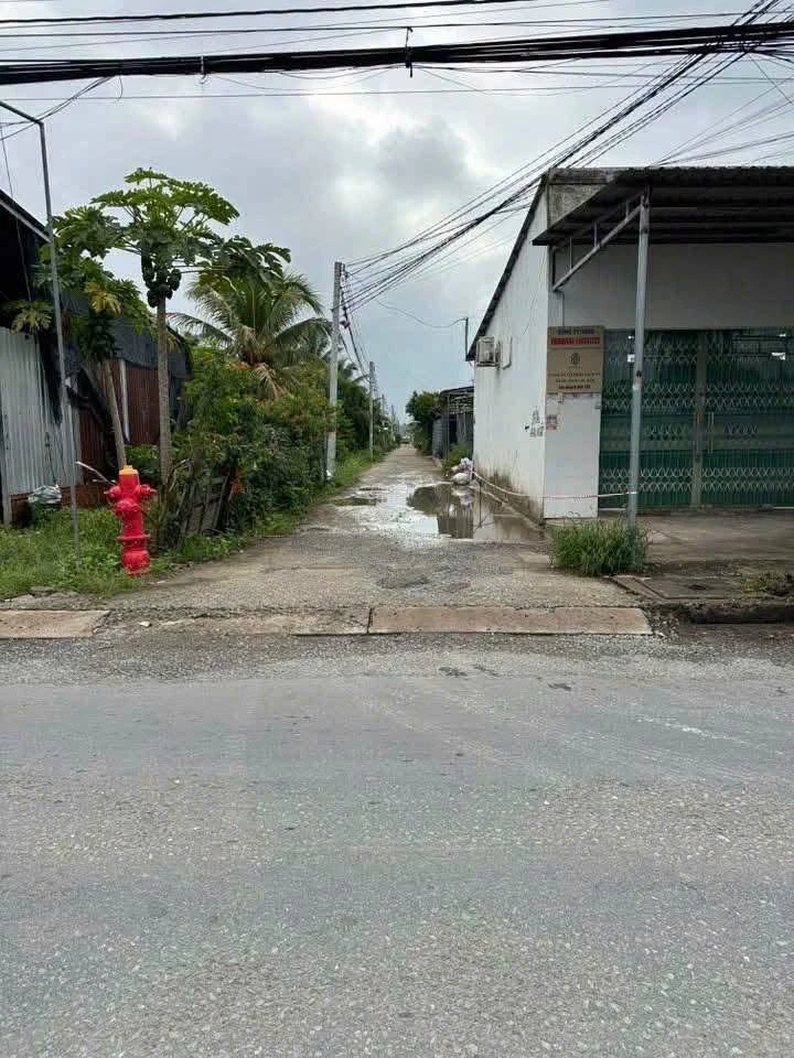 Bán 2 nền đất liền kề 300m² tại Hữu Định, Bến Tre - Ảnh 1