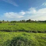 Bán đất cây trồng 190m2 sổ hồng riêng Hàm Liêm Khánh Hòa - Ảnh thu nhỏ 5