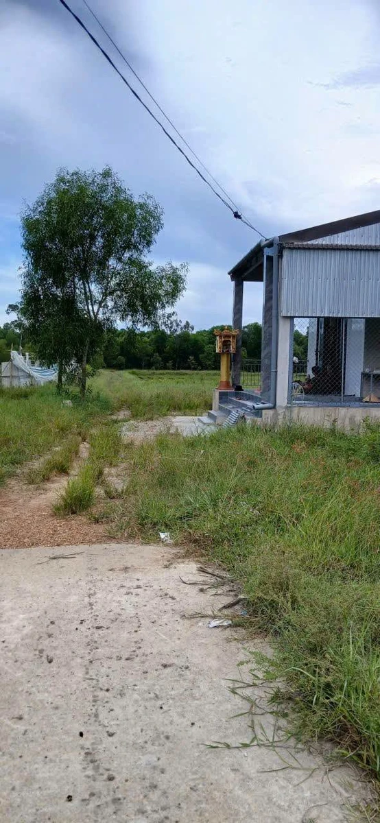 Bán đất 125,9m2 ngang 8m tại Phú Đa, Phú Vang giá 280 triệu - Ảnh thu nhỏ 2