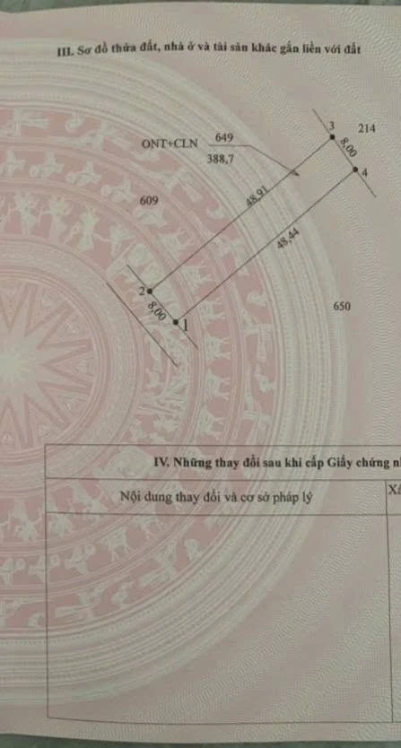 Bán đất thổ cư 388,7m² Tân Châu, Tây Ninh, 600 triệu - Ảnh thu nhỏ 4