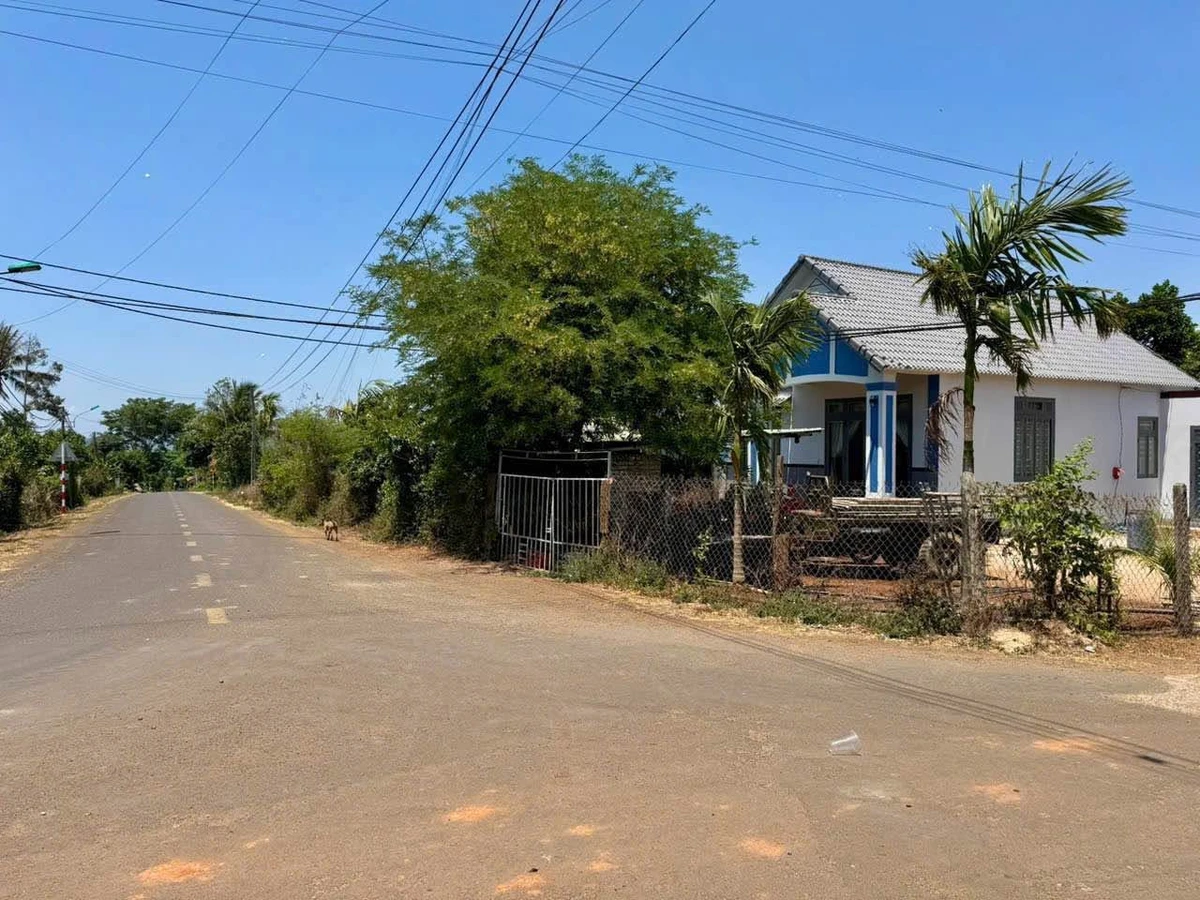 Bán lô đất mặt tiền Đại lộ Đông Tây, 260m², Quận 9 - Ảnh thu nhỏ 3