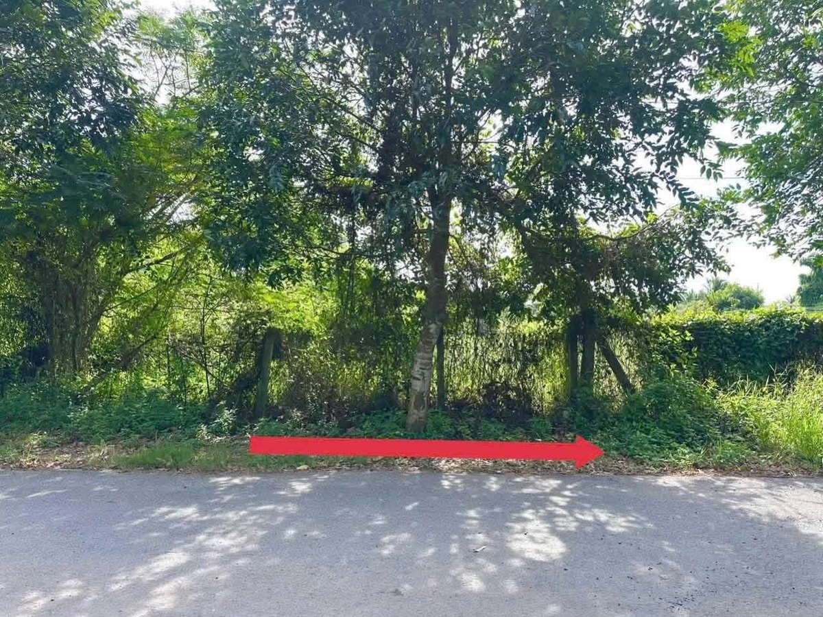 Bán lô đất thổ cư mặt tiền Phạm Văn Ngô 5x25 Tây Ninh - Ảnh thu nhỏ 3