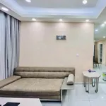 Cho thuê căn hộ 1PN 52m² The Emerald Golf View, Đại lộ Bình Dương, 8 triệu/tháng - Ảnh thu nhỏ 2