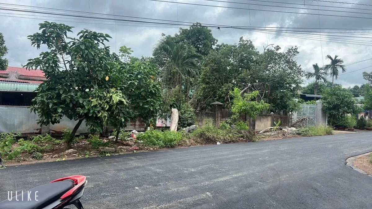 Bán đất 1200m2 có 390m2 thổ cư, đường nhựa 10m nở hậu, trung tâm Đồng Xoài, giá 2 tỷ - Ảnh thu nhỏ 2